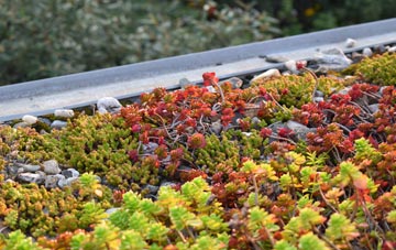 the cost of Potash green roof installation