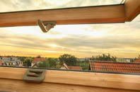 rated Potash roof window companies